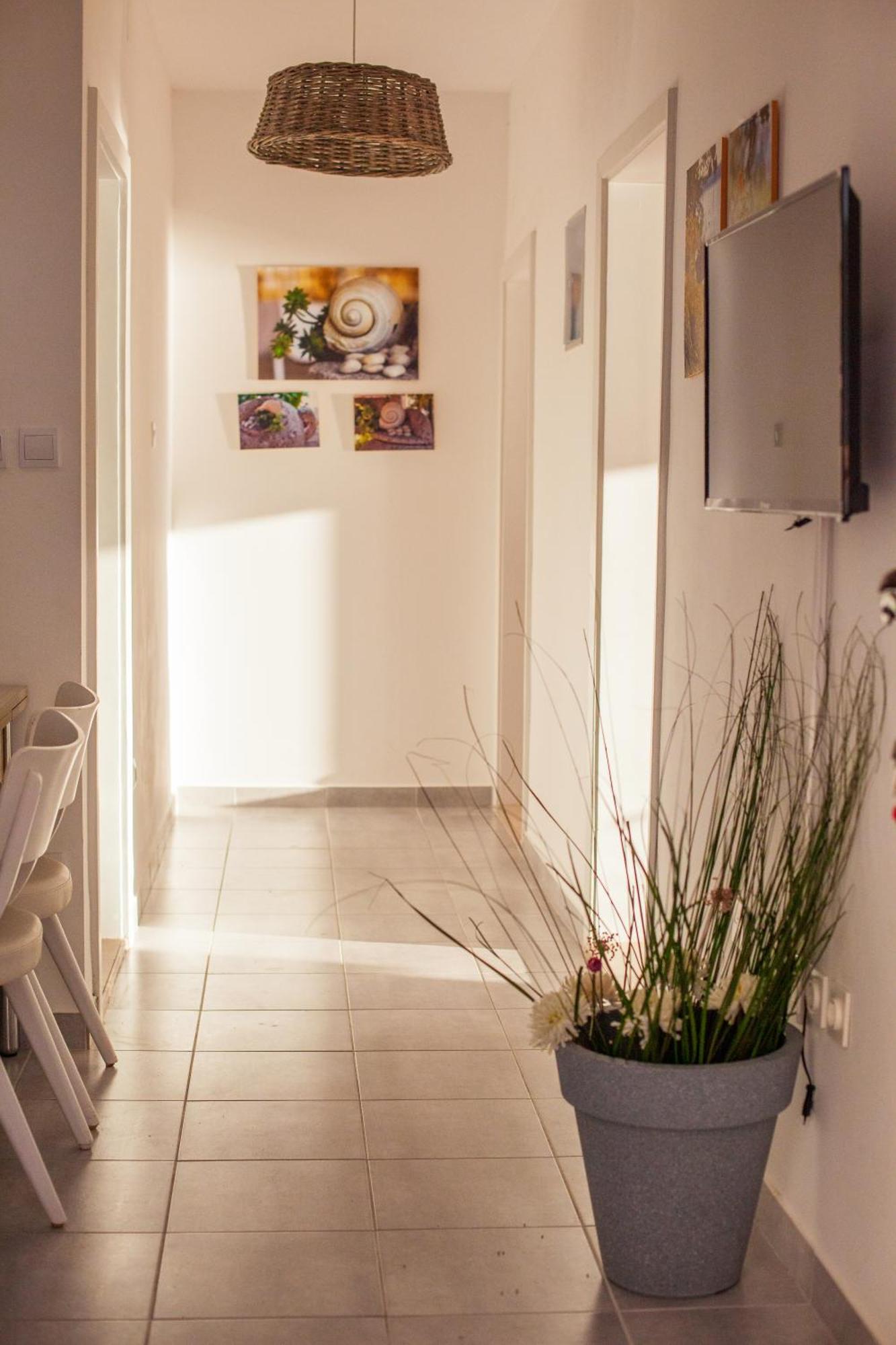 Apartments Marilka بودغورا المظهر الخارجي الصورة